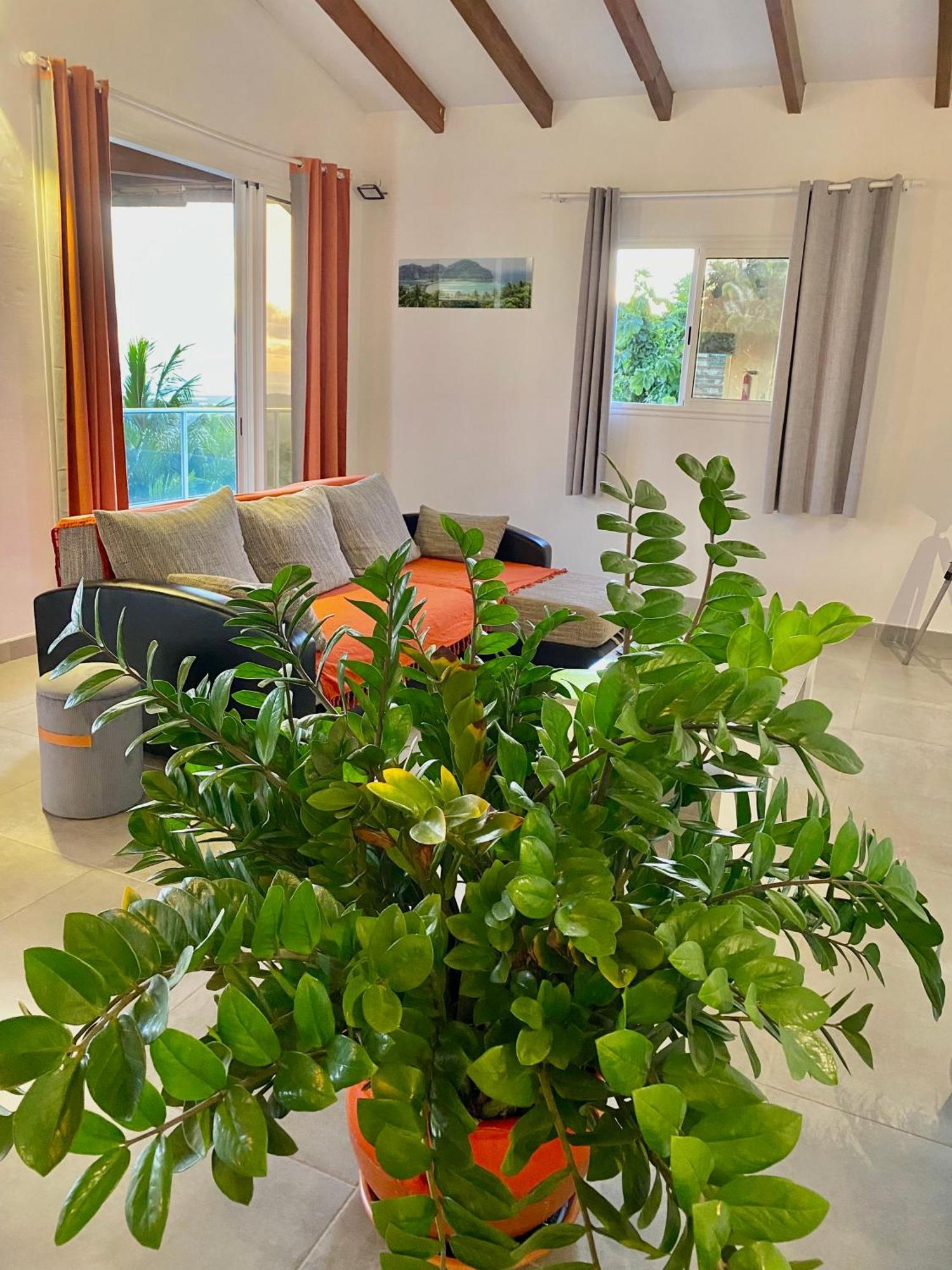 Les Villas Pameyaque 2 F2 Avec 1 Piscine Et 1 F3 Avec 1 Piscine, Superbe Vue Sur La Mer Riviere-Salee Екстер'єр фото